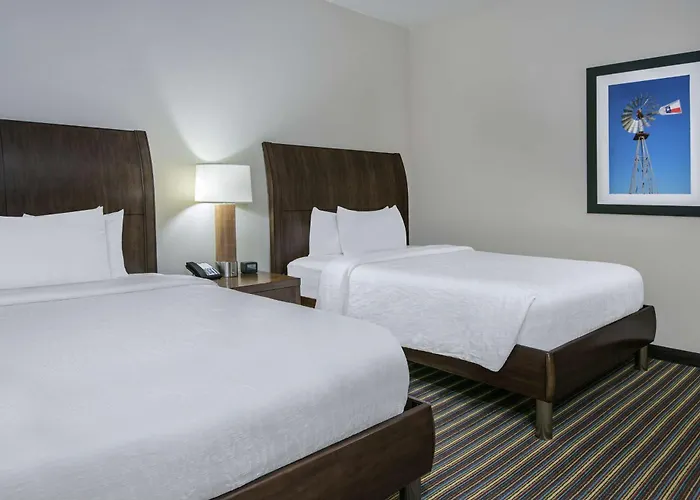 Hilton Garden Inn San Antonio/Rim Pass Drive