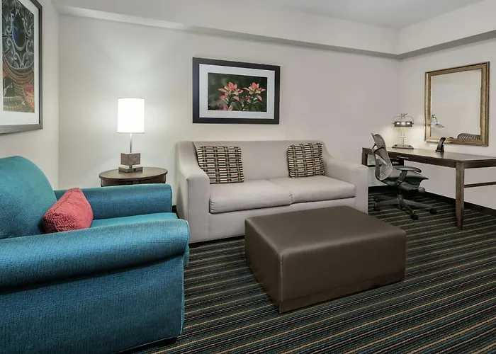 Hilton Garden Inn San Antonio/Rim Pass Drive