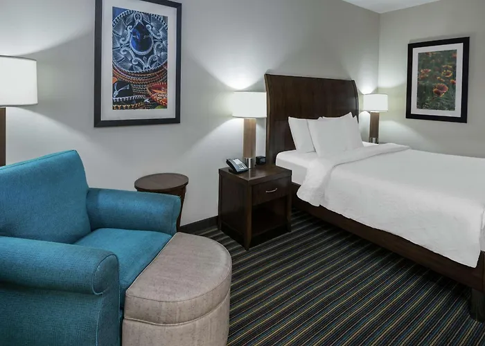 Hilton Garden Inn San Antonio/Rim Pass Drive